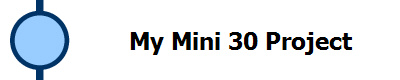 My Mini 30 Project
